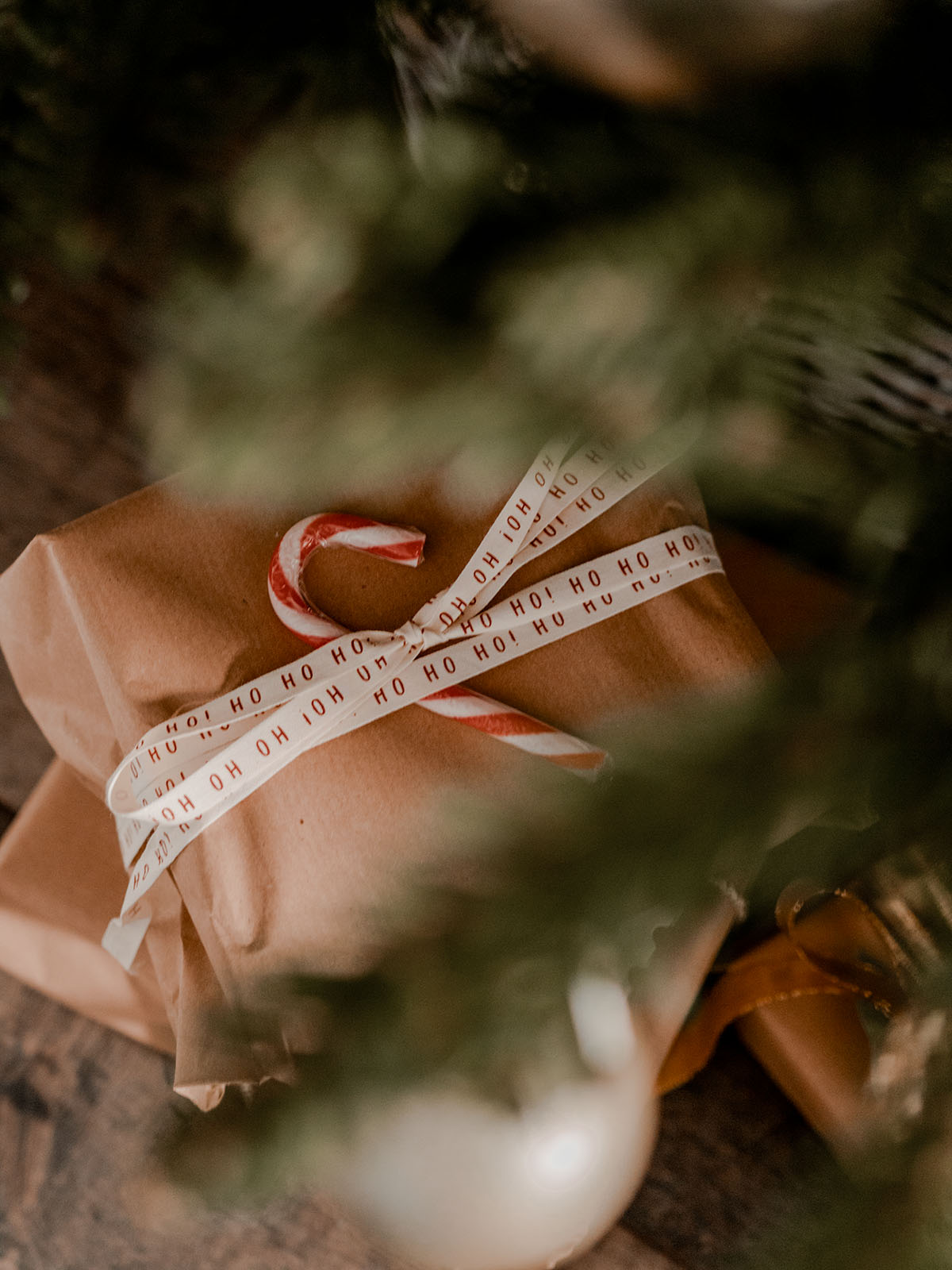 december round up christmas photos photo diary photography 2019 round-up