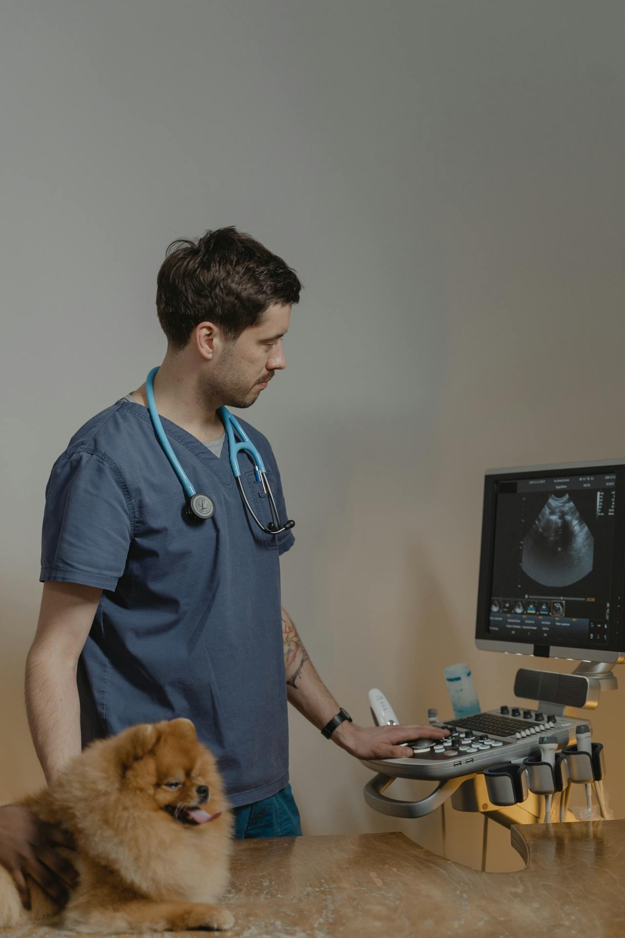 The Benefits Of At-Home Emergency Vet Care.