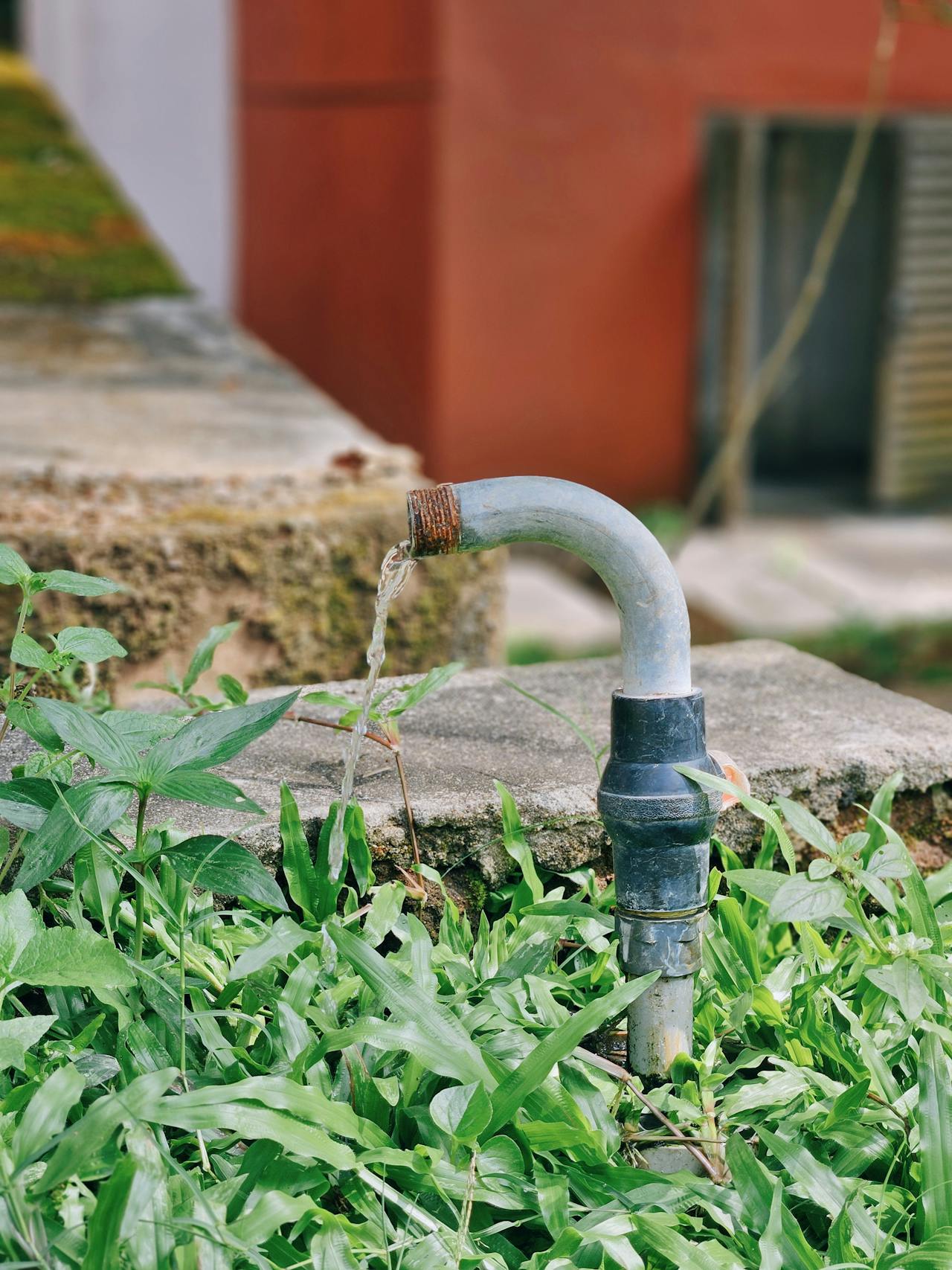 Upgrading Your Garden Plumbing Without Digging Up The Yard.