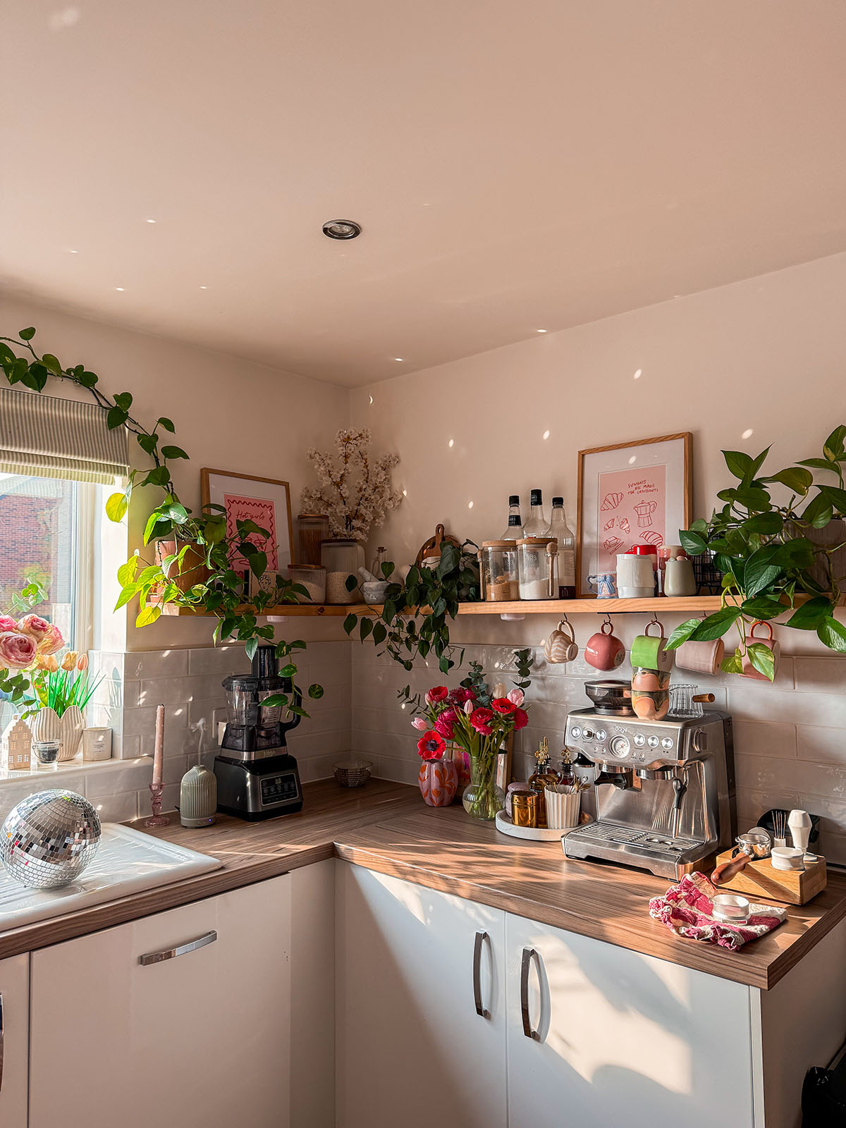 sage coffee machine barista express review