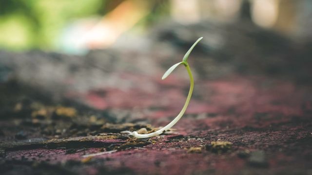 4 Things You Can Do That Will Have a Positive, Long-Lasting Impact.