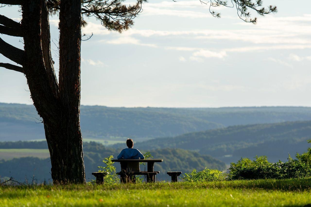 The Relationship Between Self-Trust & Daily Well-Being.