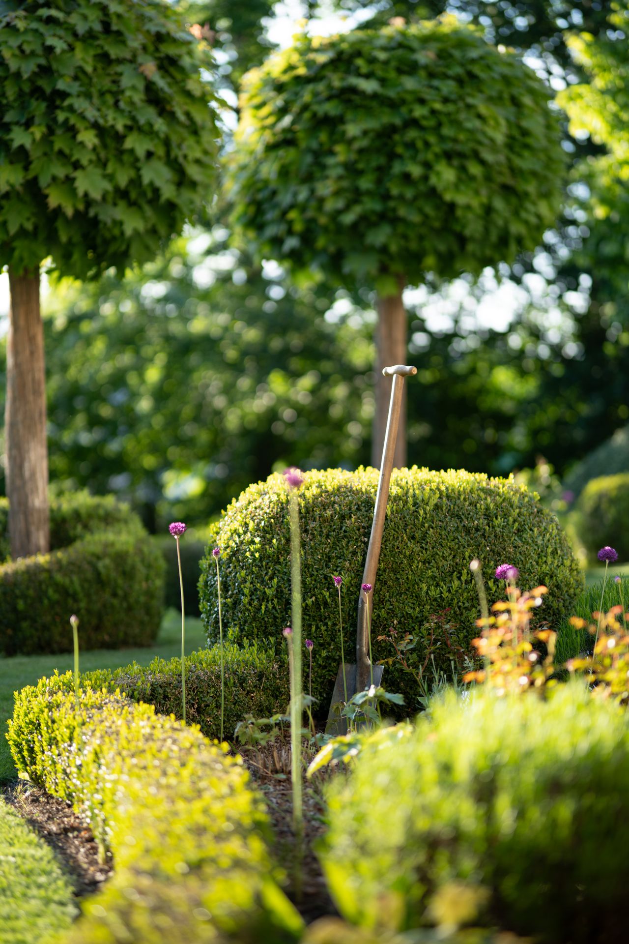 Practical Ways to Refresh Your Garden Without a Complete Redesign.