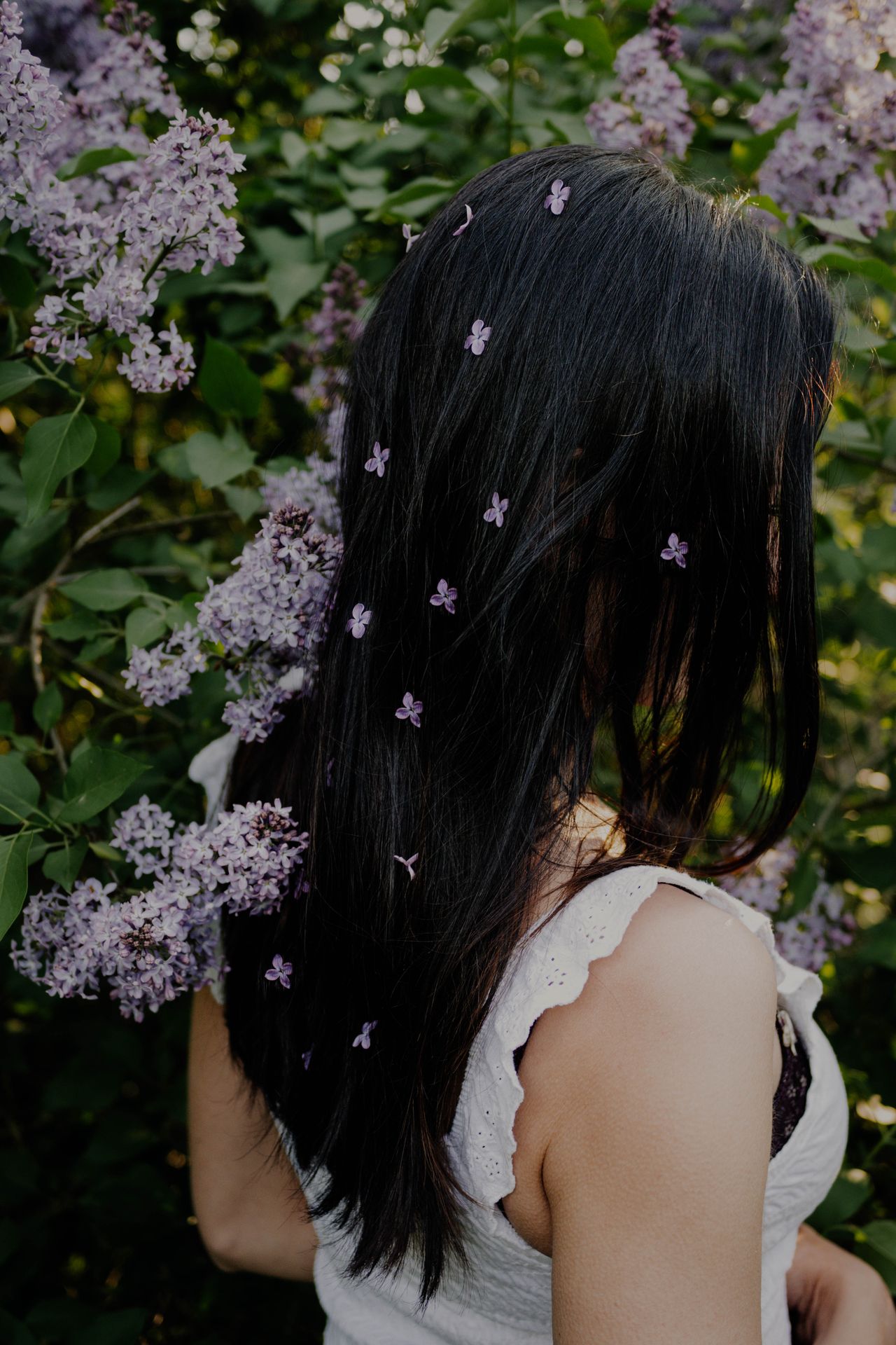 Refresh Your Look: The Impact of a Great Hair Colour.